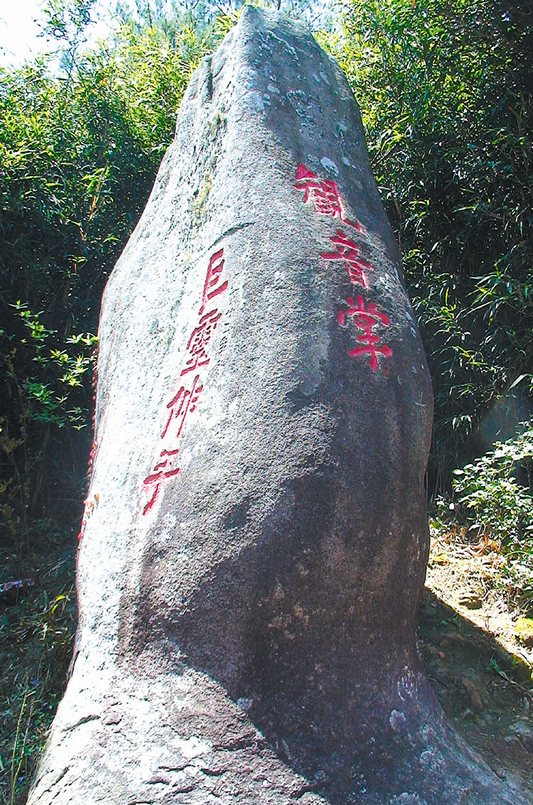 观音掌