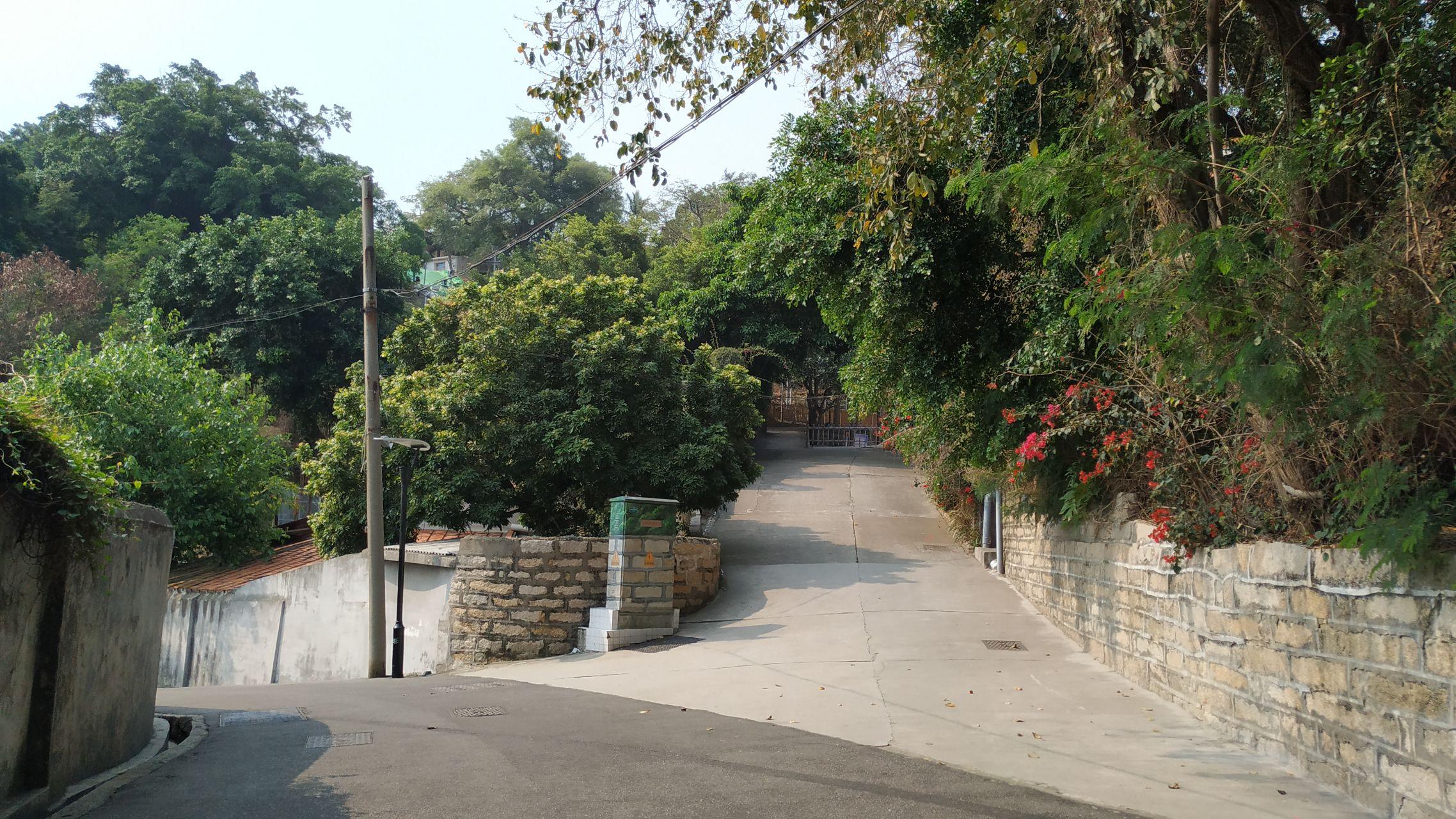 鼓浪屿船票儿童票说明_鼓浪屿最新旅游线路攻略_厦门鼓浪屿旅游攻略