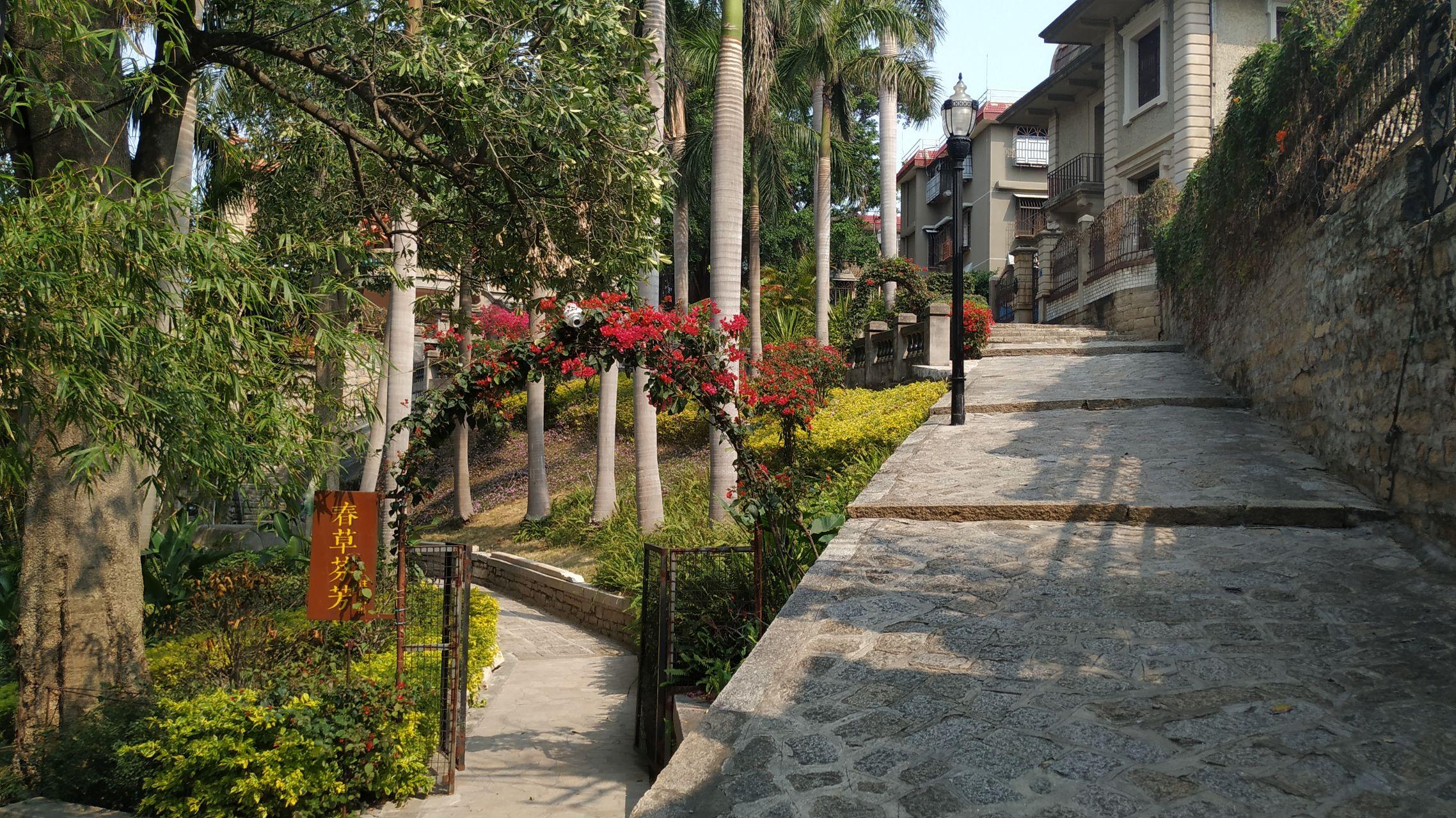 鼓浪屿船票儿童票说明_鼓浪屿最新旅游线路攻略_厦门鼓浪屿旅游攻略