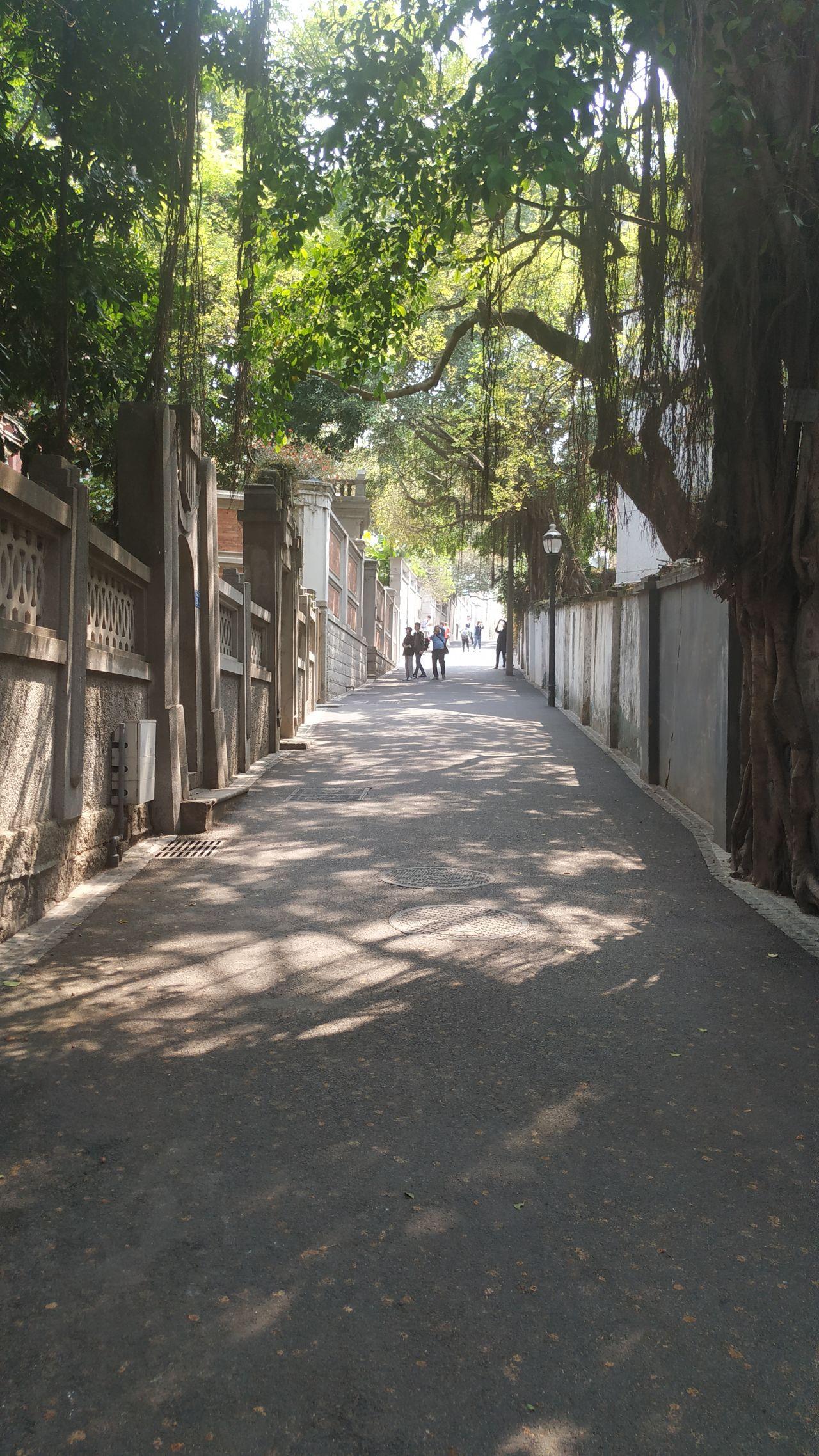 鼓浪屿最新旅游线路攻略_鼓浪屿船票儿童票说明_厦门鼓浪屿旅游攻略