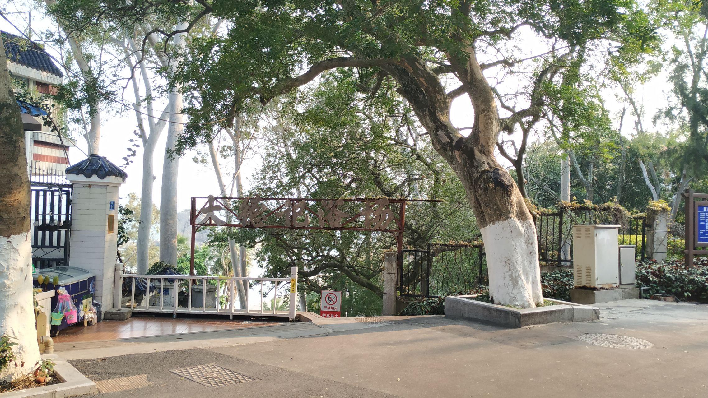 鼓浪屿最新旅游线路攻略_厦门鼓浪屿旅游攻略_鼓浪屿船票儿童票说明