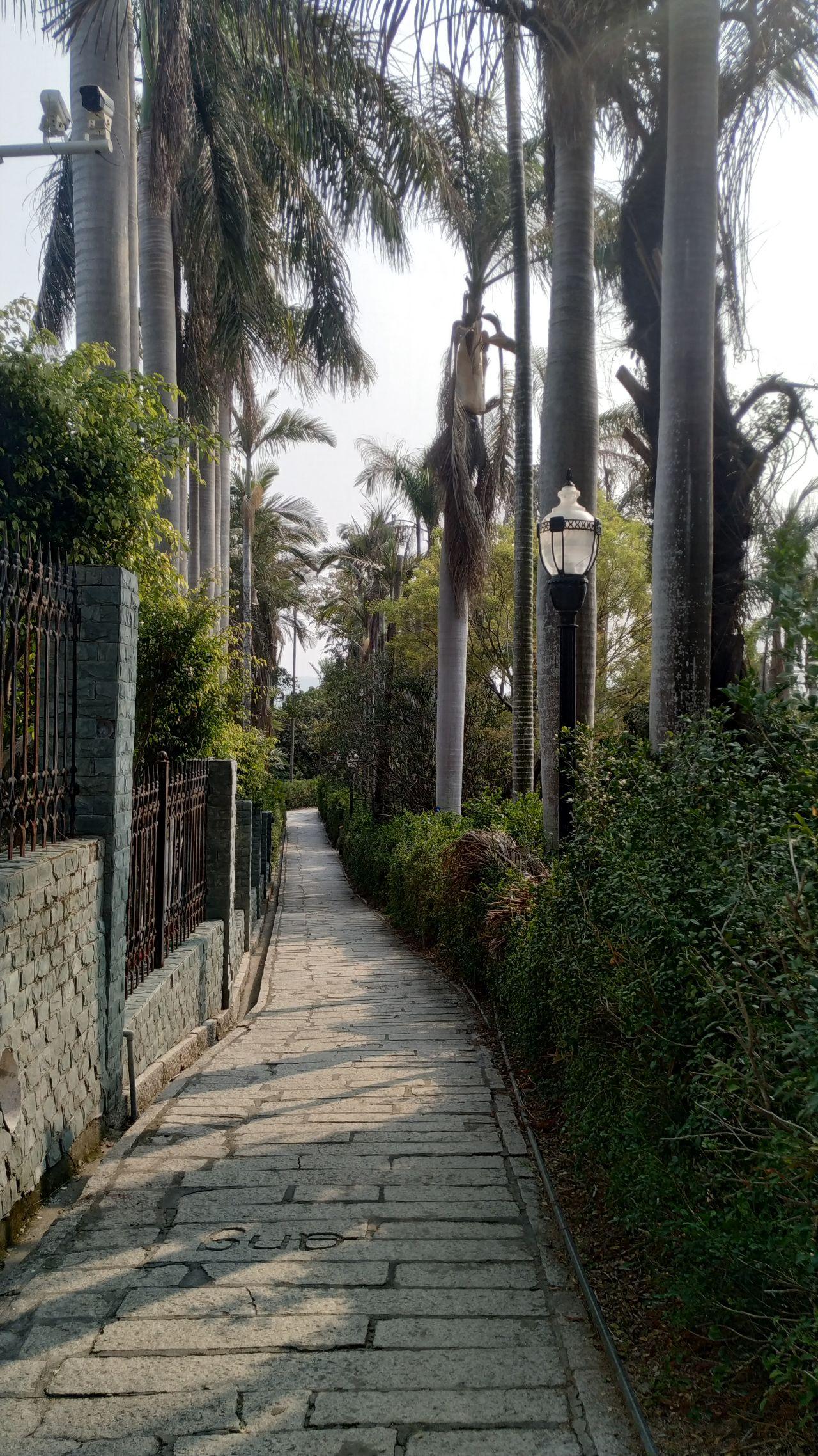 鼓浪屿船票儿童票说明_厦门鼓浪屿旅游攻略_鼓浪屿最新旅游线路攻略