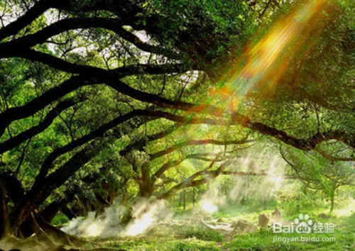 宁德有什么好玩的景点