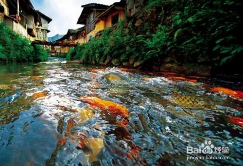 宁德有什么好玩的景点