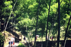 白水洋旅游费用多少钱_白水洋旅行攻略_白水洋游记