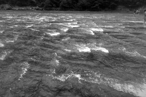 白水洋旅游费用多少钱_白水洋旅行攻略_白水洋游记