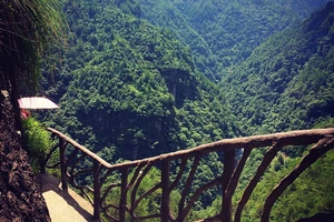 白水洋旅游费用多少钱_白水洋游记_白水洋旅行攻略