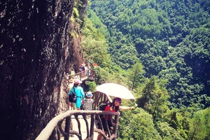 白水洋旅游费用多少钱_白水洋旅行攻略_白水洋游记