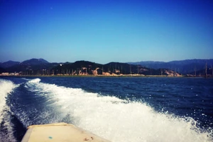 白水洋旅游费用多少钱_白水洋旅行攻略_白水洋游记