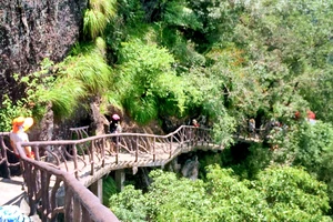 白水洋旅游费用多少钱_白水洋游记_白水洋旅行攻略