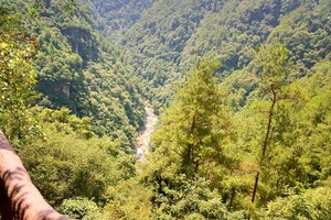 白水洋旅游费用多少钱_白水洋旅行攻略_白水洋游记