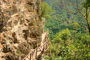 白水洋旅游费用多少钱_白水洋游记_白水洋旅行攻略