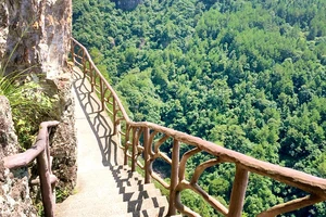 白水洋旅游费用多少钱_白水洋旅行攻略_白水洋游记