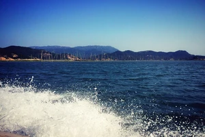 白水洋旅游费用多少钱_白水洋游记_白水洋旅行攻略