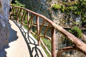 白水洋游记_白水洋旅游费用多少钱_白水洋旅行攻略