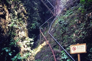 白水洋旅游费用多少钱_白水洋游记_白水洋旅行攻略