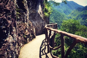 白水洋旅游费用多少钱_白水洋游记_白水洋旅行攻略