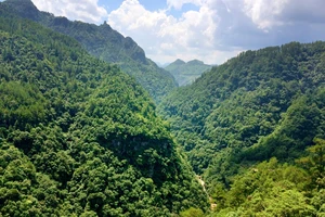 白水洋旅行攻略_白水洋旅游费用多少钱_白水洋游记