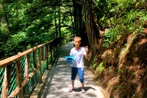 白水洋游记_白水洋旅游费用多少钱_白水洋旅行攻略