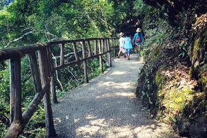 白水洋游记_白水洋旅行攻略_白水洋旅游费用多少钱