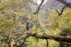 白水洋旅游费用多少钱_白水洋旅行攻略_白水洋游记