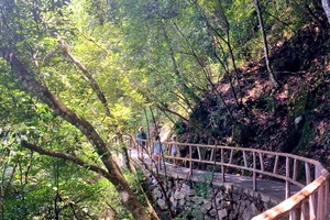 白水洋旅行攻略_白水洋旅游费用多少钱_白水洋游记