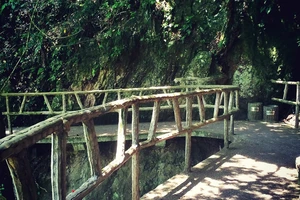 白水洋游记_白水洋旅行攻略_白水洋旅游费用多少钱