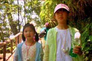 白水洋游记_白水洋旅游费用多少钱_白水洋旅行攻略