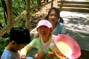 白水洋旅游费用多少钱_白水洋游记_白水洋旅行攻略