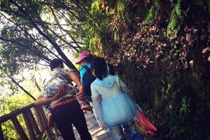 白水洋旅游费用多少钱_白水洋旅行攻略_白水洋游记