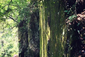 白水洋旅游费用多少钱_白水洋游记_白水洋旅行攻略