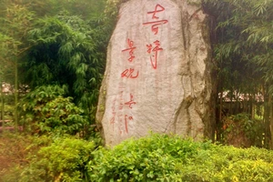 白水洋旅游费用多少钱_白水洋旅行攻略_白水洋游记