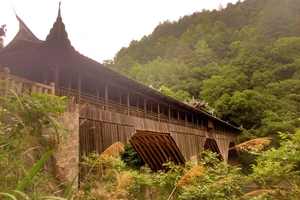 白水洋旅行攻略_白水洋旅游费用多少钱_白水洋游记