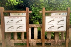 白水洋游记_白水洋旅行攻略_白水洋旅游费用多少钱