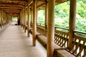 白水洋旅行攻略_白水洋游记_白水洋旅游费用多少钱