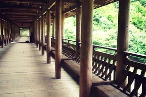 白水洋旅游费用多少钱_白水洋旅行攻略_白水洋游记