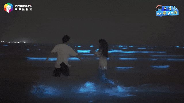 平潭蓝眼泪追泪拍照指南_平潭蓝眼泪最佳观赏点位推荐_平潭岛的蓝眼泪图片