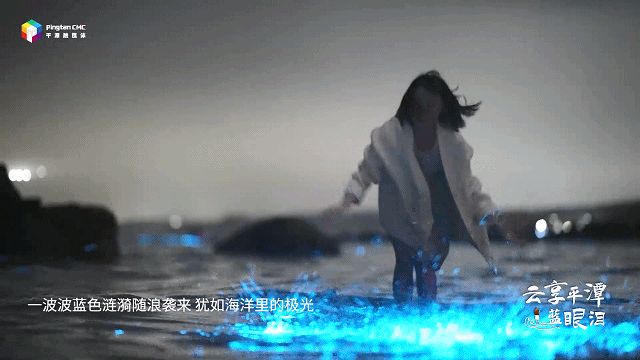 平潭岛的蓝眼泪图片_平潭蓝眼泪追泪拍照指南_平潭蓝眼泪最佳观赏点位推荐