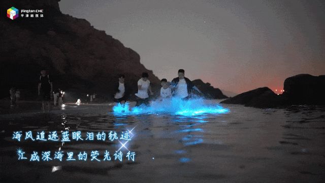 平潭蓝眼泪追泪拍照指南_平潭岛的蓝眼泪图片_平潭蓝眼泪最佳观赏点位推荐