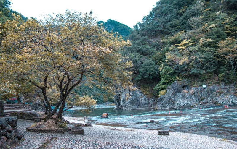 鸳鸯溪旅游攻略_屏南旅游攻略_屏南旅游十大景点